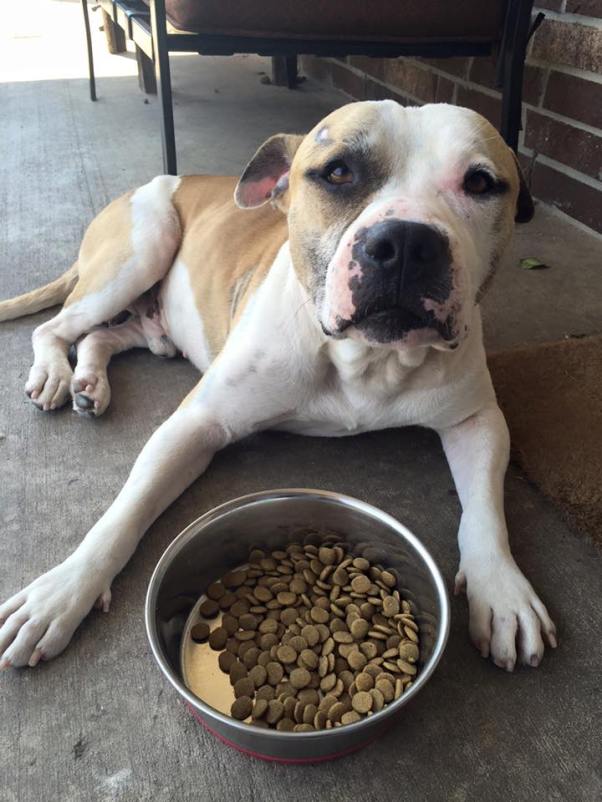 11535921_522173204597239_1679256535621225264_n