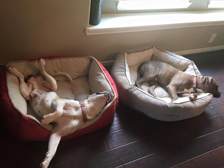 11665766_10153467577434697_7909601690011483284_n