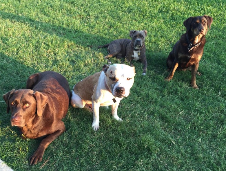 fullsizerender-jpg-1