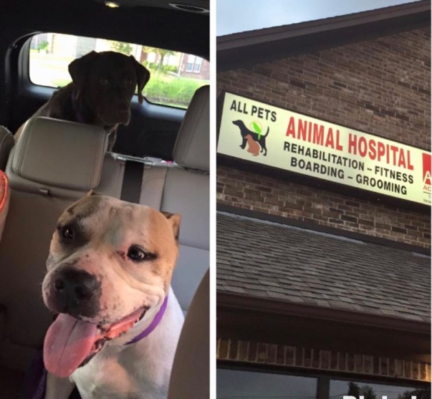 fullsizerender-jpg-2